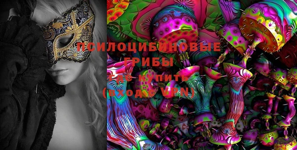 мдпв Балахна